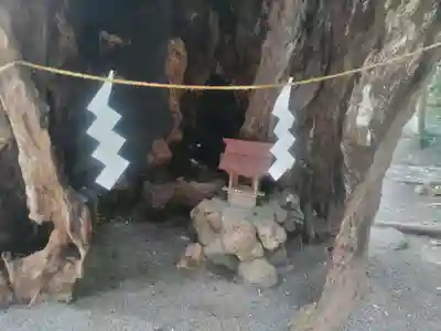 來宮神社(静岡県)