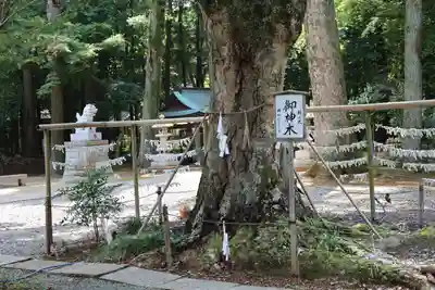 小御門神社(千葉県)
