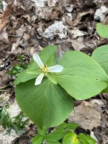 端野神社(北海道)