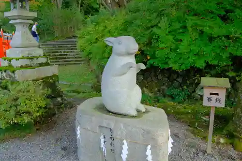 出雲大神宮の狛犬