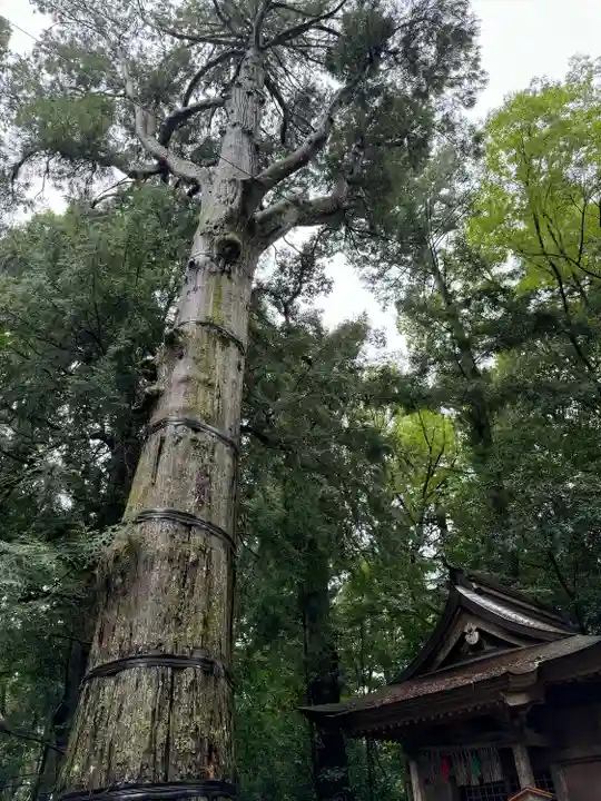 高千穂神社(宮崎県)