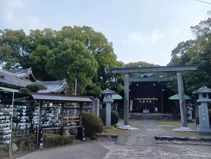 酒見神社の御朱印