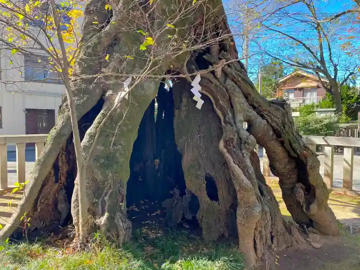 高城神社(埼玉県)