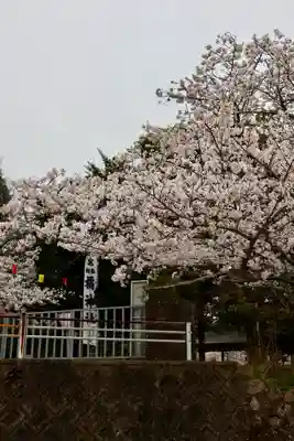 橘神社(長崎県)