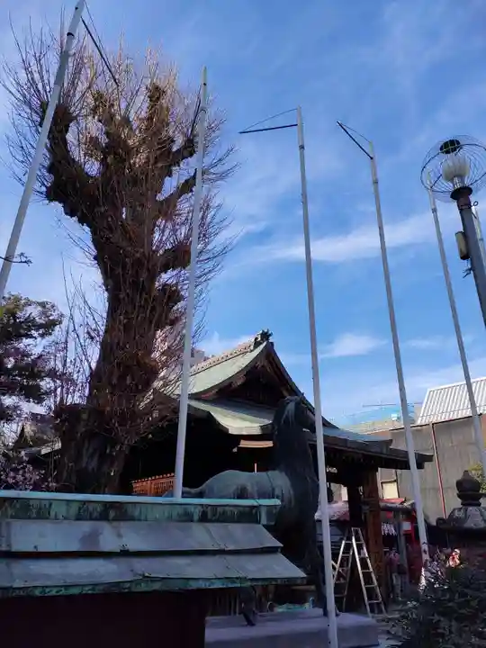 富士浅間神社の本殿・本堂