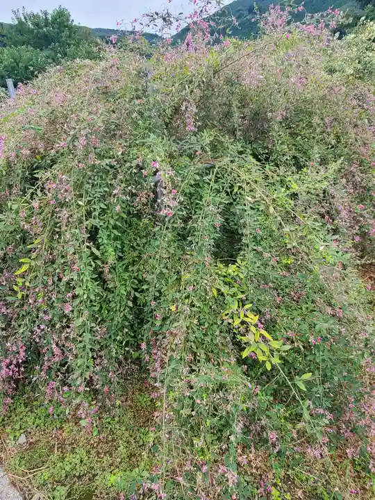洞昌院(埼玉県)