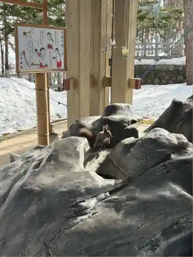 上川神社の動物