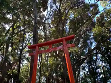 神社(名称不明)の鳥居