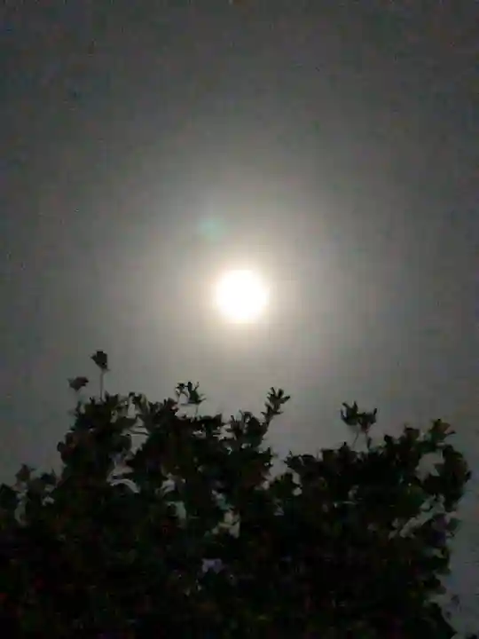 五方山熊野神社(東京都)