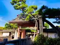 葛井寺の山門・神門