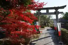 滑川神社 - 仕事と子どもの守り神の鳥居