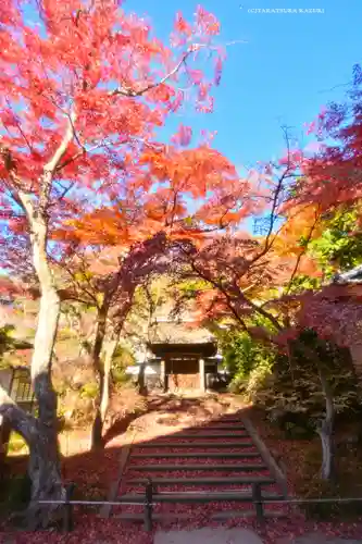 円覚寺(神奈川県)
