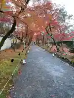 宝厳院(京都府)