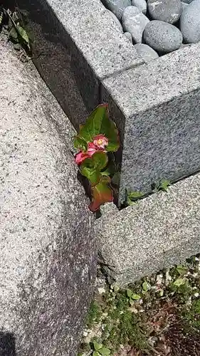 西方山極楽寺の自然