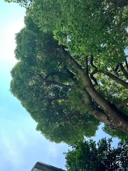 日枝神社(東京都)