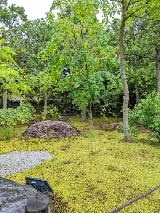 勝林寺(京都府)