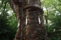 愛宕神社の自然