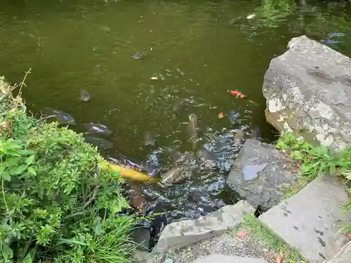 報徳二宮神社の庭園