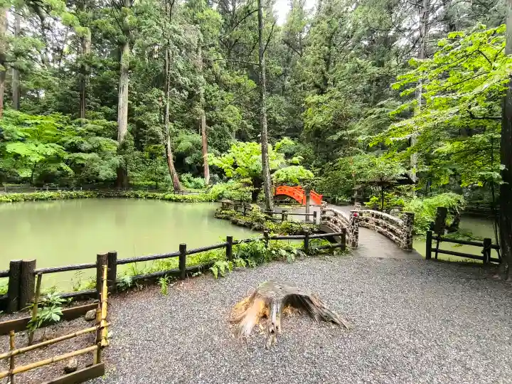 小國神社の{uncategorized: "未分類", other: "その他", undefined: "問題あり", building: "その他建物", grave: "お墓", sacred_gate: "鳥居", guardian: "狛犬", statue: "像", buddha: "仏像", history: "歴史", nature: "自然", garden: "庭園", animal: "動物", pagoda: "塔", temizu: "手水舎", mountain_gate: "山門・神門", sanctuary: "本殿・本堂", subordinate: "末社・摂社", art: "芸術", scenery: "景色", jizo: "地蔵", ema: "絵馬", goshuin: "御朱印", omikuji: "おみくじ", items: "授与品その他", amulet: "お守り", goshuincho: "御朱印帳", eats: "食事", festival: "お祭り", votive_dance: "神楽", shichigosan: "七五三参", wedding: "結婚式", experience: "体験その他", initially: "初詣", around: "周辺", anti_infection: "感染症対策"}