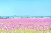 浄土寺(兵庫県)