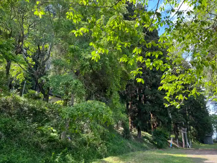 大宮温泉神社(栃木県)