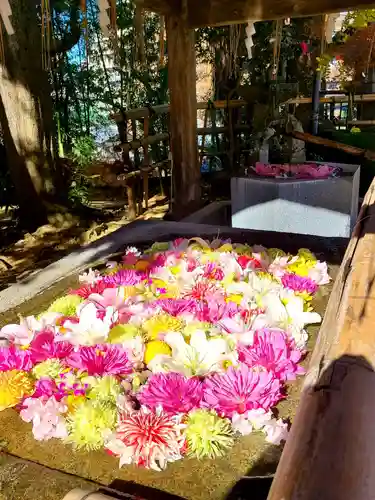 紅葉八幡宮の手水舎