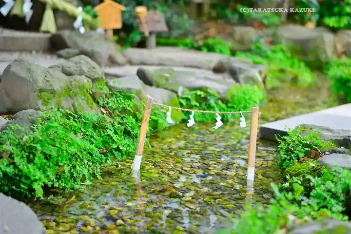 川越氷川神社(埼玉県)