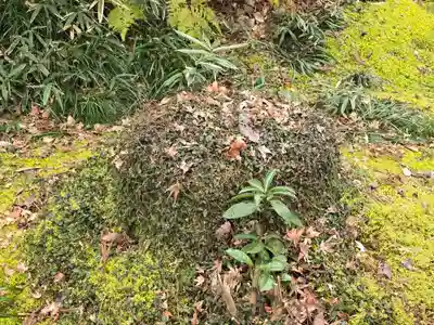 三千院門跡(京都府)
