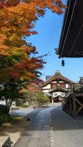 妙顯寺（妙顕寺）(京都府)