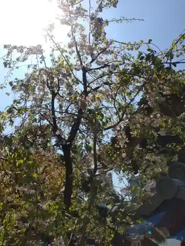 瑞光寺(東京都)