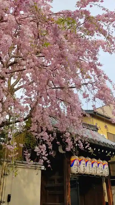 石像寺(釘抜地蔵)の自然