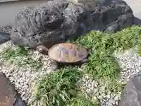 善行寺(岐阜県)