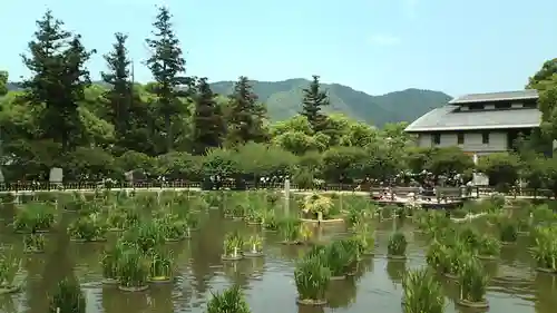 太宰府天満宮(福岡県)