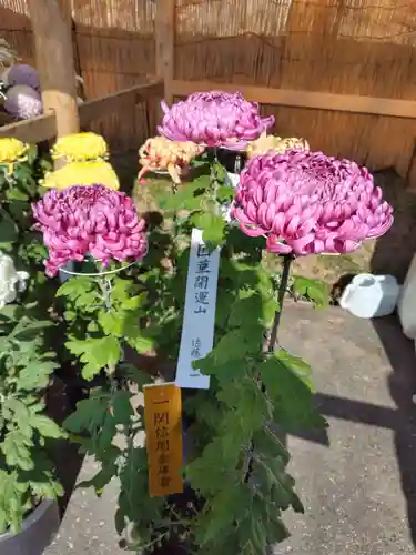 中尊寺金色堂(岩手県)