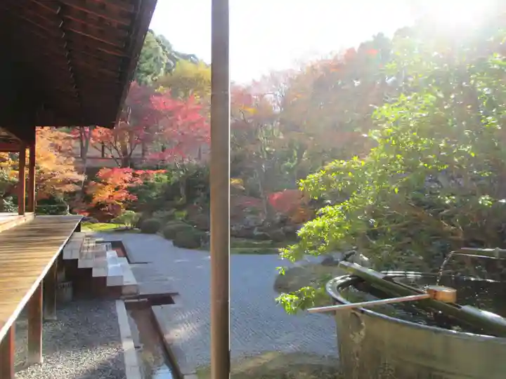 御寺 泉涌寺(京都府)