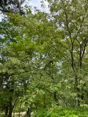歌泉堂（春日大社神苑萬葉植物園内鎮座）(奈良県)