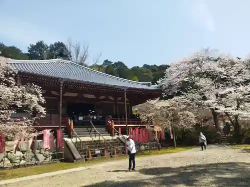 醍醐寺(京都府)