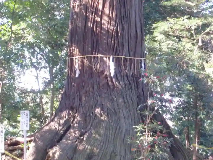 側高神社の自然