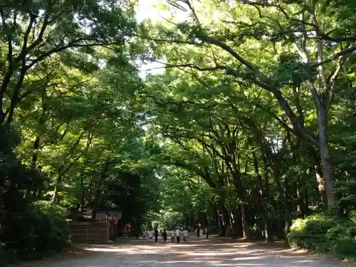 賀茂御祖神社（下鴨神社）(京都府)