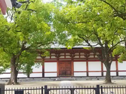 東寺（教王護国寺）(京都府)