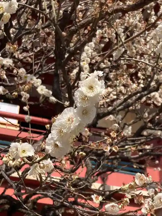 瀧泉寺(目黒不動尊)(東京都)