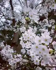 滑川神社 - 仕事と子どもの守り神(福島県)