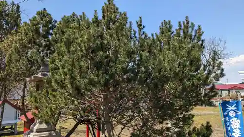 霧多布神社の自然