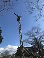 賀茂別雷神社(栃木県)