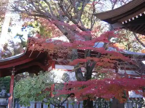 高尾山薬王院の本殿