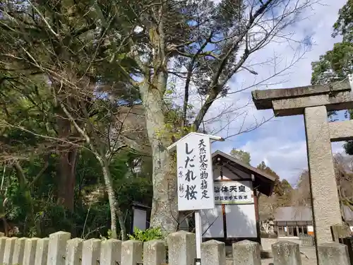 足羽神社の建物その他