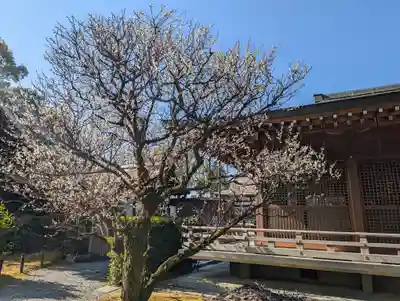 城南宮(京都府)