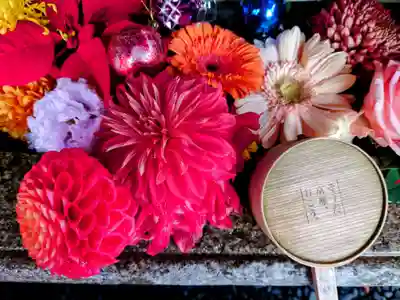 勝林寺(京都府)