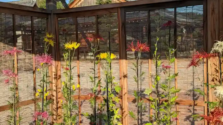 大覚寺(京都府)