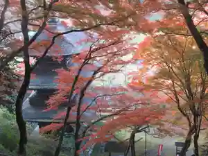 金剛院(京都府)(2022年11月12日(土) 21時34分02秒投稿)